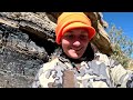 DIY Bear & Elk Hunt- Colorado #hunting #elk #bear #diy #colorado