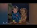 Funniest Animals 2024 🤣😅 New Funny Cats and Dogs Videos 😸🐶 Part