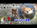 What happens when you walk with a Shiba Inu dog in Canada ♪ Pet A Palooza