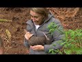 TVNZ Breakfast’s Jenny-May Clarkson holds a kiwi for the first time