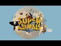 SUPER ANIMALS Just Cards - Piscivores #countdown #animals #amazing #fyp  (MEAL sized video)