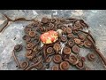 Amazing Millipede Mountain forest insects #viralvideos #trendingvideo