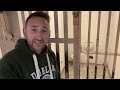 Alcatraz Prison Full Tour and Experience | Alcatraz Island Today 2023