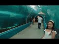 The largest ocean park in the Philippines: Cebu Ocean Park - POV Tour