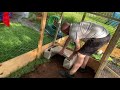 DIY TORTOISE ENCLOSURE (EASY BUILD)