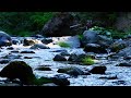 4K | Relaxing River Sounds for Sleep and Relaxation