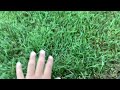 Touch grass 2