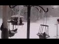 Hungry birds winter storm 2016 Clarksville TN