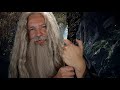 🧙 Encounter with Gandalf the Grey [ASMR]