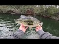 Fishing a BIG Swimbait for MONSTER Fish!