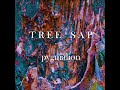 tree sap (demo)