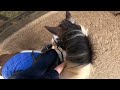 Tack up and ride! // group lesson! // riding w my friend