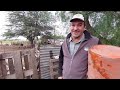 CAMPESINO muestra la FORTUNA de vivir en un PARAISO RURAL /Charata- Chaco