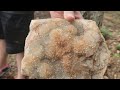 HAWK'S BLUFF DRUZY Missouri