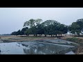 Early Morning Walk in a Village - इस सुबह की सैर का जवाब नहीं