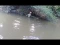 The couple went to pick fern and cast nets to catch fish.