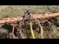 Baling Second Cut Hay That May As Well Be Third (2023)