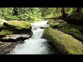 Stunning Flyover of Granite Falls and Scenic Mountain Loop Highway