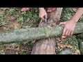 How To Make Bamboo House In Forest | build shelter & survival | Dang Thi Mui