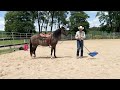 Colt keeps Bucking Owner off!