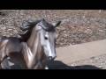Breyer horse movie- Thunderbolt episode 5 part 1