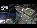 Midicake ARP live With Two ARPs and a Harp