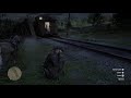 Red Dead Redemption 2_20200227171032