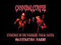 Cannibal Corpse | Evidence In The Furnace | Vocal Cover