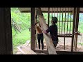 Turning an old house into a new one p2. wooden house making 2024 - repair girl