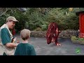 T-Rex Dinosaur & Floor Is Lava! Pretend Play Escape with Dinosaurs at Gulliver's Park for Kids