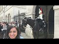GET OUT NOW! Female Armed Police Intervene as Tourists Disrespected the King's Guard at Horse Guards