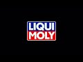 LIQUI MOLY Camping Multispray (Art. 21813)