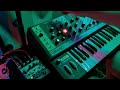 Ambient Synth Session 1 | Grandmother + Avalanche Run