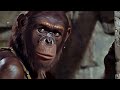 Planet of the Apes - 1950s Super Panavision 70
