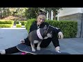 Just Me Teaching My Dog To Skateboard