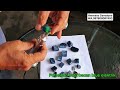 Review hasil potong 5ons batu bacan mejiko blue elektrik