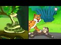 HABITAT OF ANIMALS | Classification Of Animals On Habitat | The Dr Binocs Show | Peekaboo Kidz