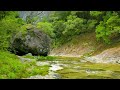 【自然の音風景】桃岩のせせらぎ / Nature Sounds – The Murmur of a Stream Through the Peach Shaped Rock