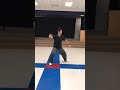 Master Zhang （Chen Taiji Old Frame Routine 1)—10