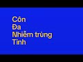 Fun 2 rhyMe(bản mở rộng) tiếng Việt