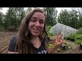 Garden Update - Mid July greenhouse tour