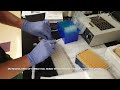 How to Make Stock&Aliquots Primer Solutions For PCR? #2b #Tutorial