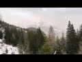 St Moritz Forest