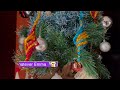 Décoration de Noël en fil chenille ❄️ Christmas Pipe Ornaments Ideas DIY 💫Tuto bricolage🎄