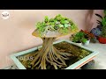 An amazing idea from cement! DIY the mushroom waterfall aquarium at home