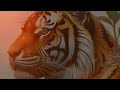 世界トラの日🐯『World Tiger Day 2024』