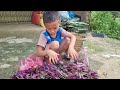 8 year old boy harvests purple jasmine plants and brings them to the sidewalk to sell |Triệu Thị Mụi