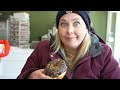 4 MUST TRY Donuts in Toronto - We try 4 of the best donut shops in the city!