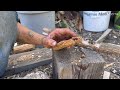 Buddleia wood firesaw