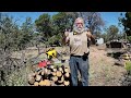 Cut Firewood with Ease: The Perfect Chainsaw for Nomads and Off-Grid Living!